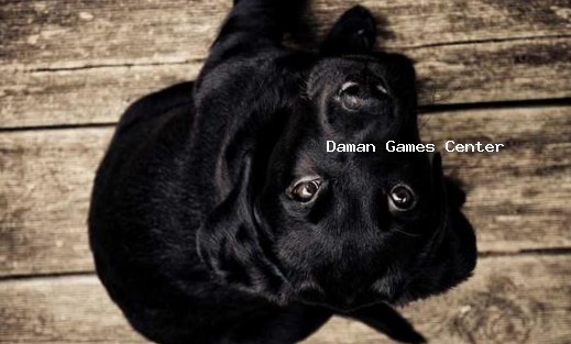 Traditional Teen Patti game being played during Diwali